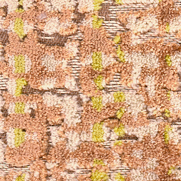 Cat.S (Special)_Salix 03