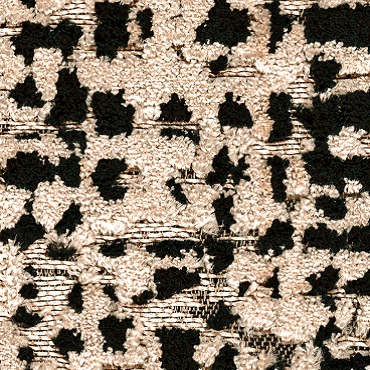 Cat.S (Special)_Salix 05