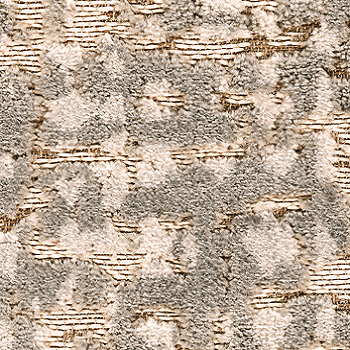 Cat.S (Special)_Salix 06