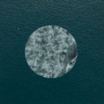 PI16 Verde Alpi/ Petrolio