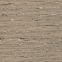 Offenporige Esche, mit Aschefarbe