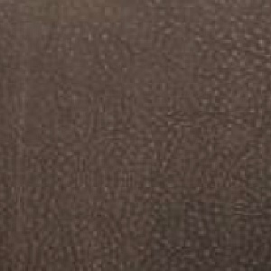 Cuir vintage_ 02 Terra