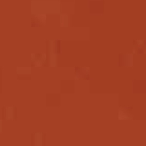 Cuir pleine fleur_ 43 Orange