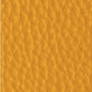 Piel de Granos_ P08 CARIOCA