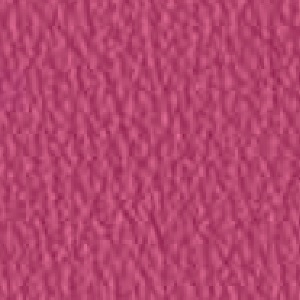 Piel de Granos_ P20 ENERGY