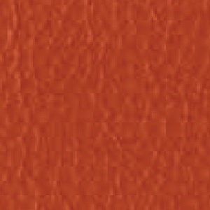 Piel de Granos_ P19 REDORANGE