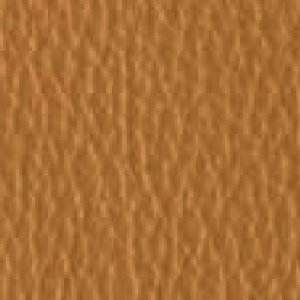 Piel de Granos_ P11 CINNEMON