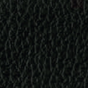 Piel de Granos_ P60 BLACK INK