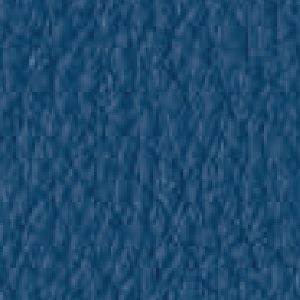 Piel de Granos_ P57 MATISSE