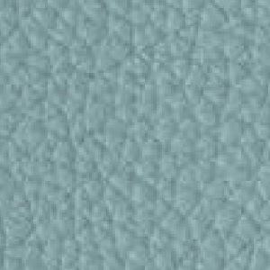 Piel de Granos_ P54 NORTH POLE