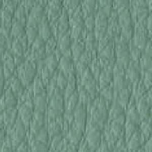 Piel de Granos_ P53 LICHENE