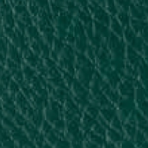 Piel de Granos_ P50 BLU PETROL