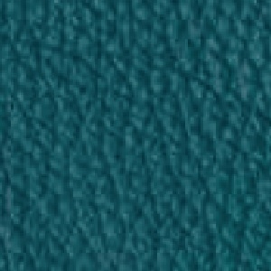 Piel de Granos_ P49 PACIFIC