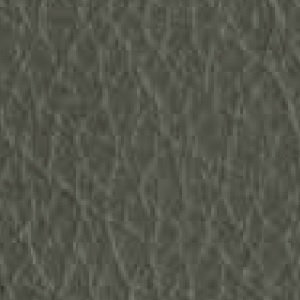 Piel de Granos_ P47 IRON