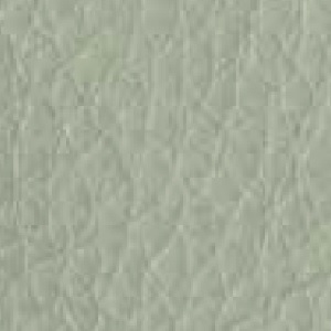 Piel de Granos_ P44 CIMENT