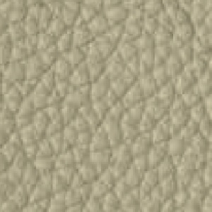 Piel de Granos_ P43 TURTLEDOVE