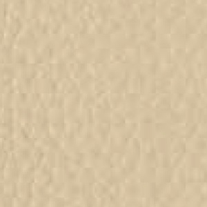 Piel de Granos_ P42 PAPYRUS