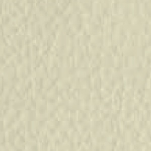 Piel de Granos_ P41 PEARL