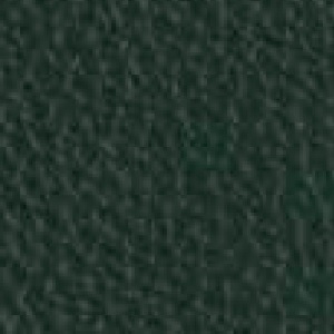 Piel de Granos_ P35 BOTTLE