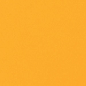 Vollnarbenleder_ 51 Sonnenblume