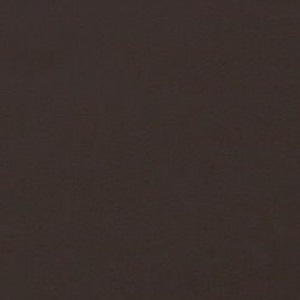 Glossy Lacquered Mocha