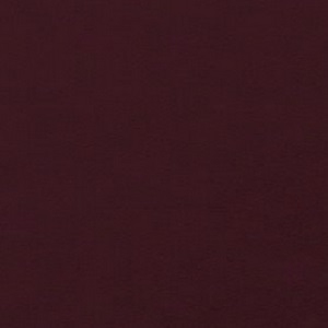 Glossy Lacquered Plum