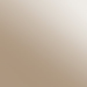 VBR_ Standard bronzed glass