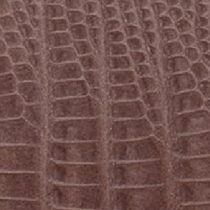 P.18_ Pelle Deluxe Iguana_ col. 04