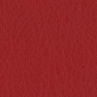 B0061 - Pelle Rosso Lacca - T 