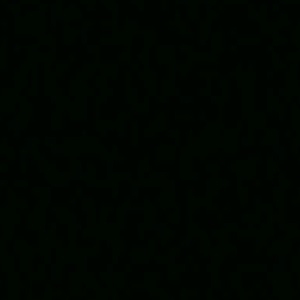 RAL 9005 schwarz lackiertes Aluminium