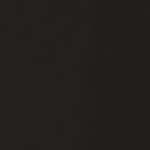 Buche glänzend lackiert_ Schwarz