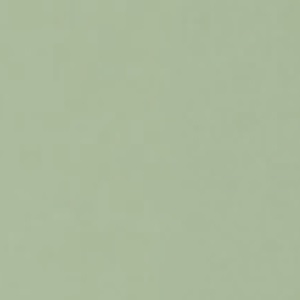 Buche glänzend lackiert_ Minze