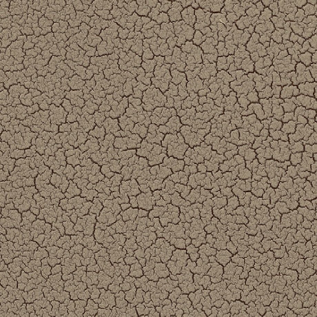 Matt Galuchat Deserto