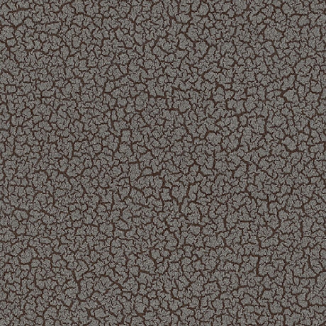 Matt Galuchat Laguna