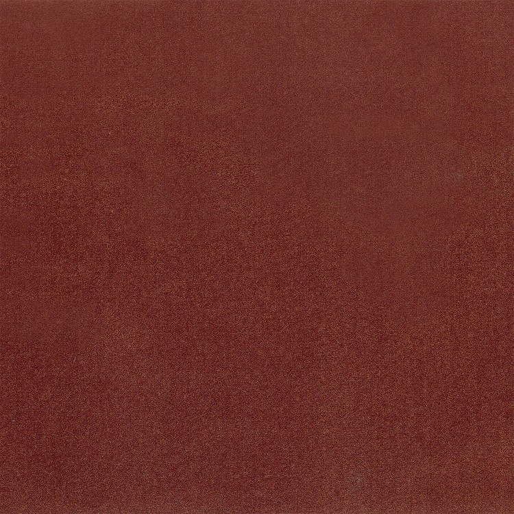 Cat. F_ Velluto Lario_ F54 Volpe