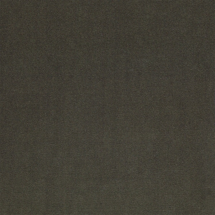 Cat. F_ Velluto Regal_ F59 Muschio