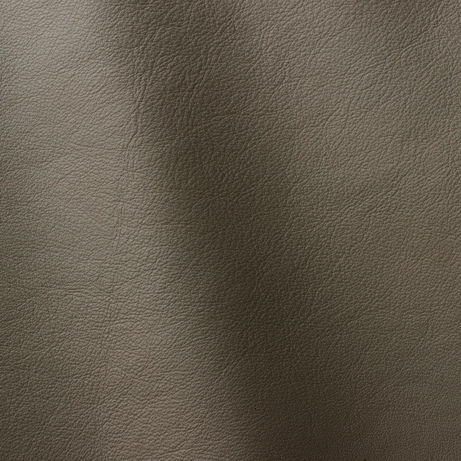 Cat. H_ Glattleder_ H3F Muschio