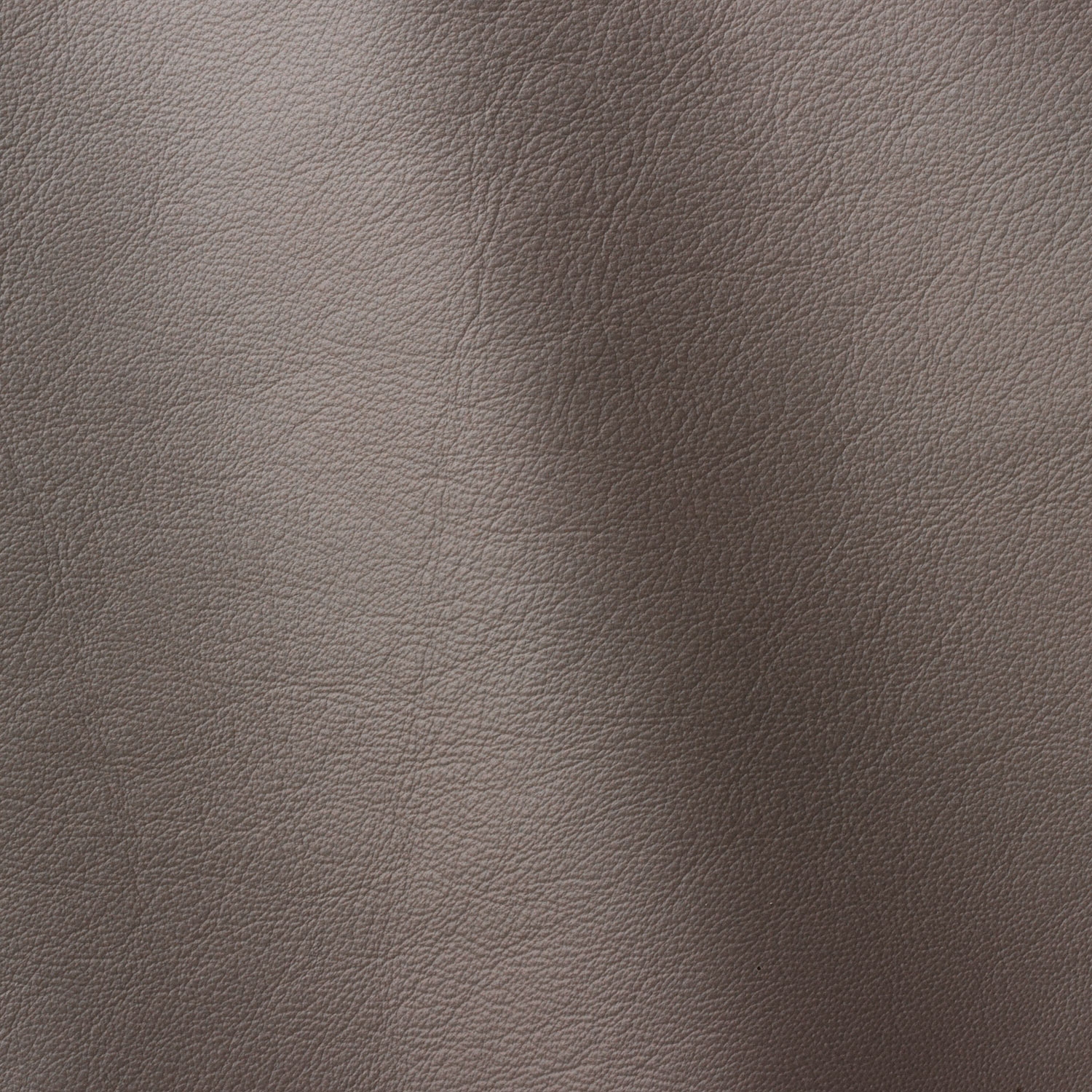 Cat. H_ Glattleder_ H08 Asfalto