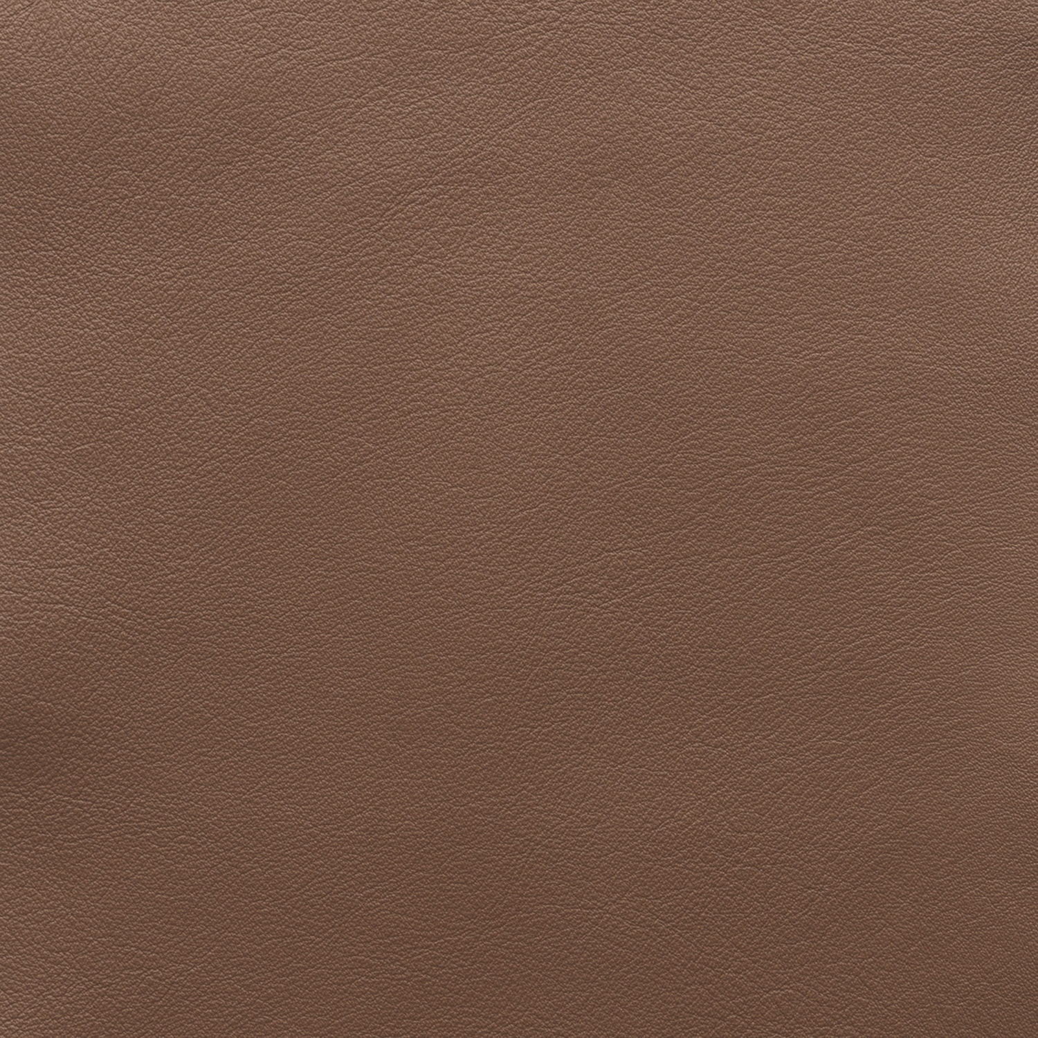 Cat. H_ Glattleder_ H31 Naturale