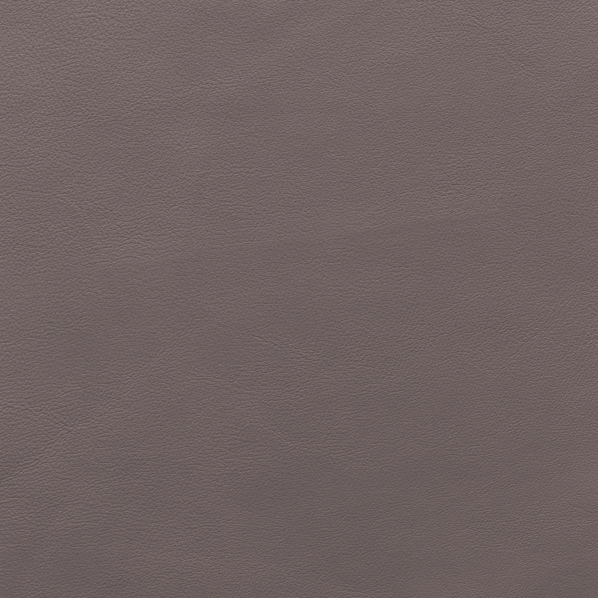 Cat. H_ Glattleder_ H32 Taupe