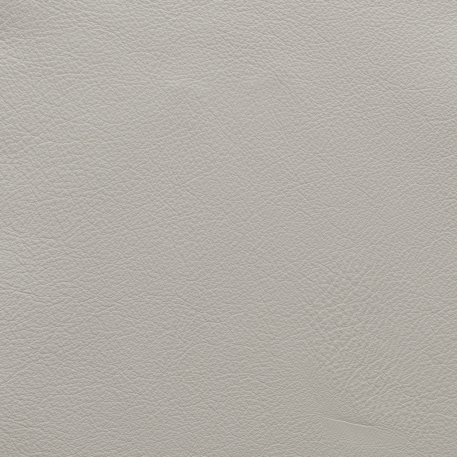 Cat. H_ Glattleder_ H35 Grigio chiaro