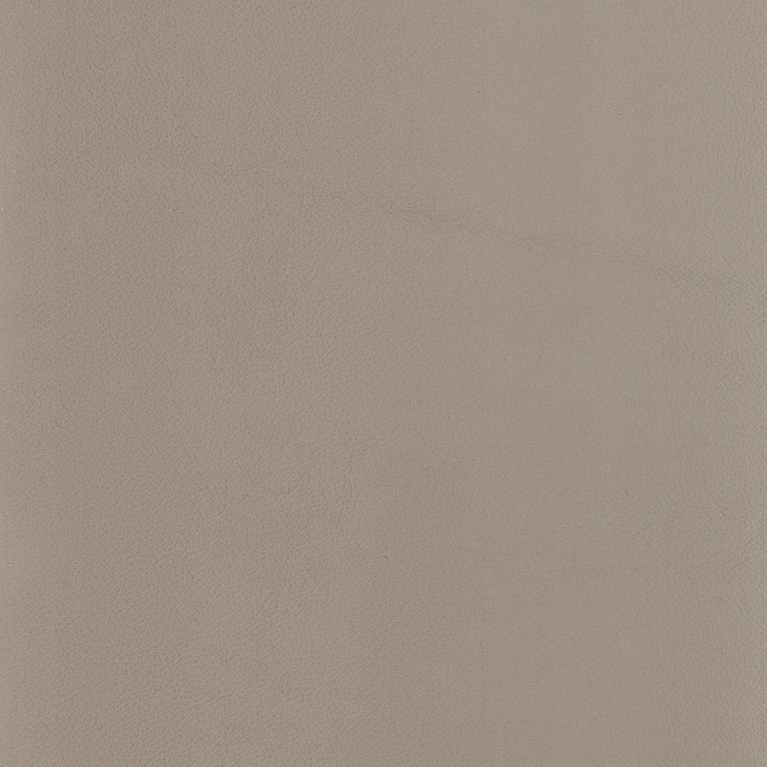 Cat. H_ Glattleder_ H36 Camoscio