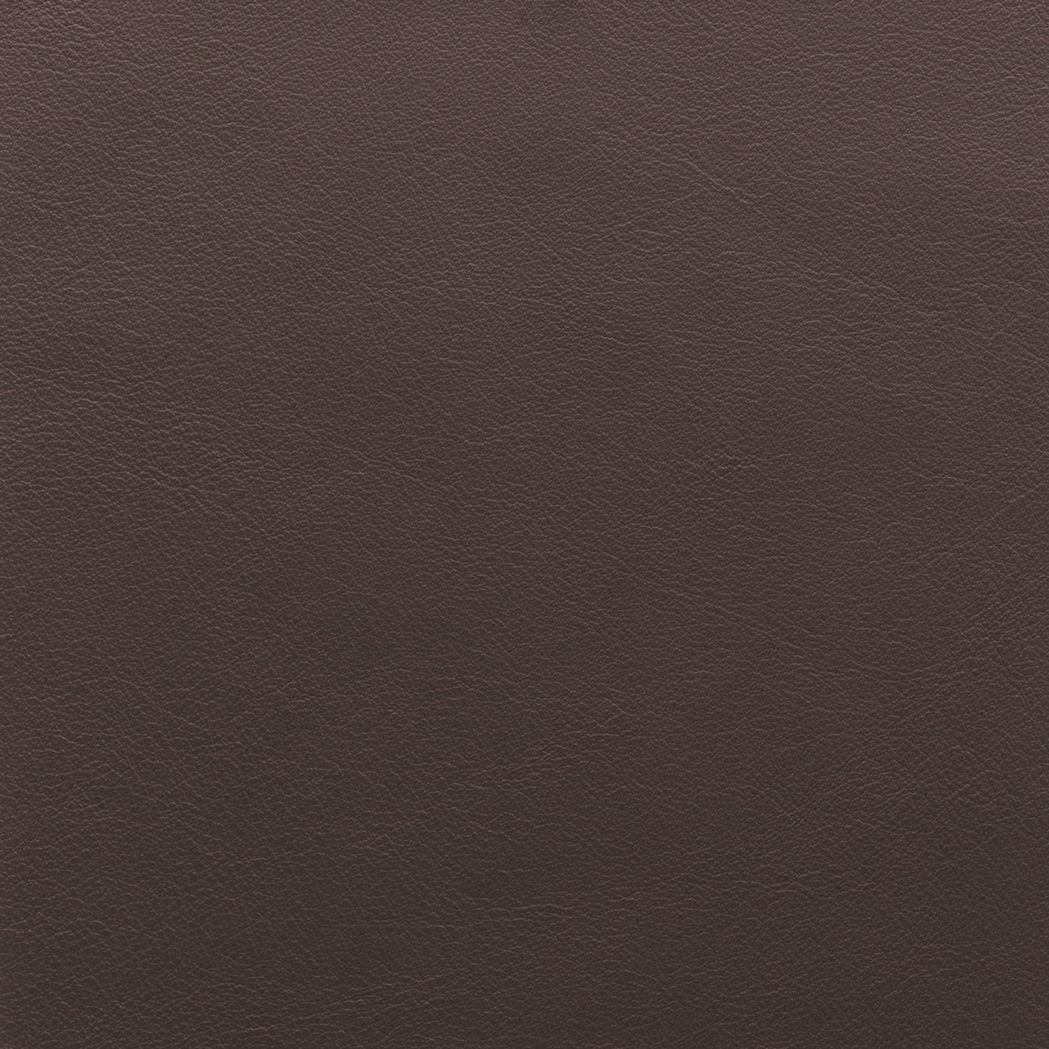 Cat. H_ Glattleder_ H71 Testa di moro