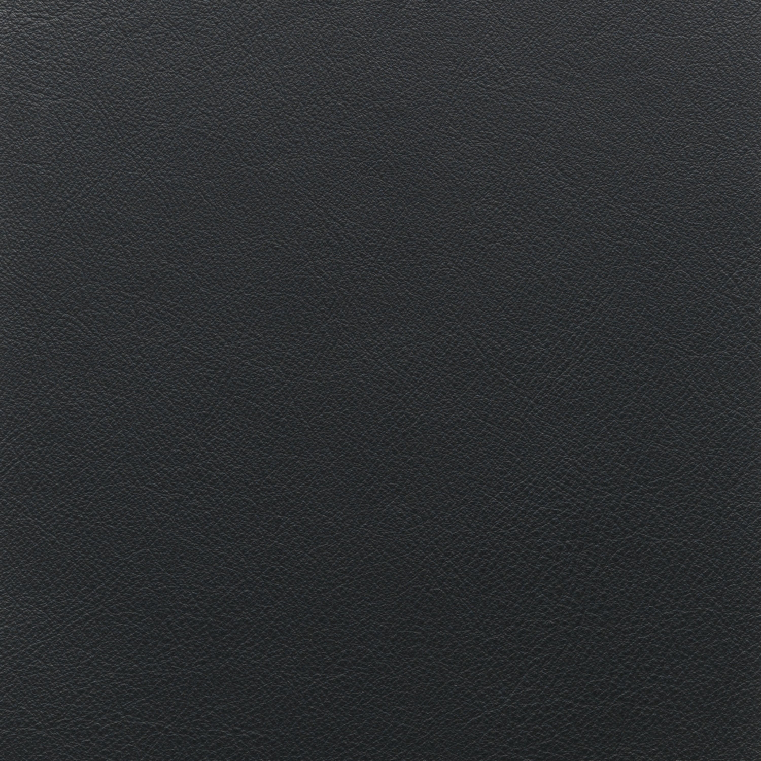 Cat. H_ Glattleder_ H73 Nero