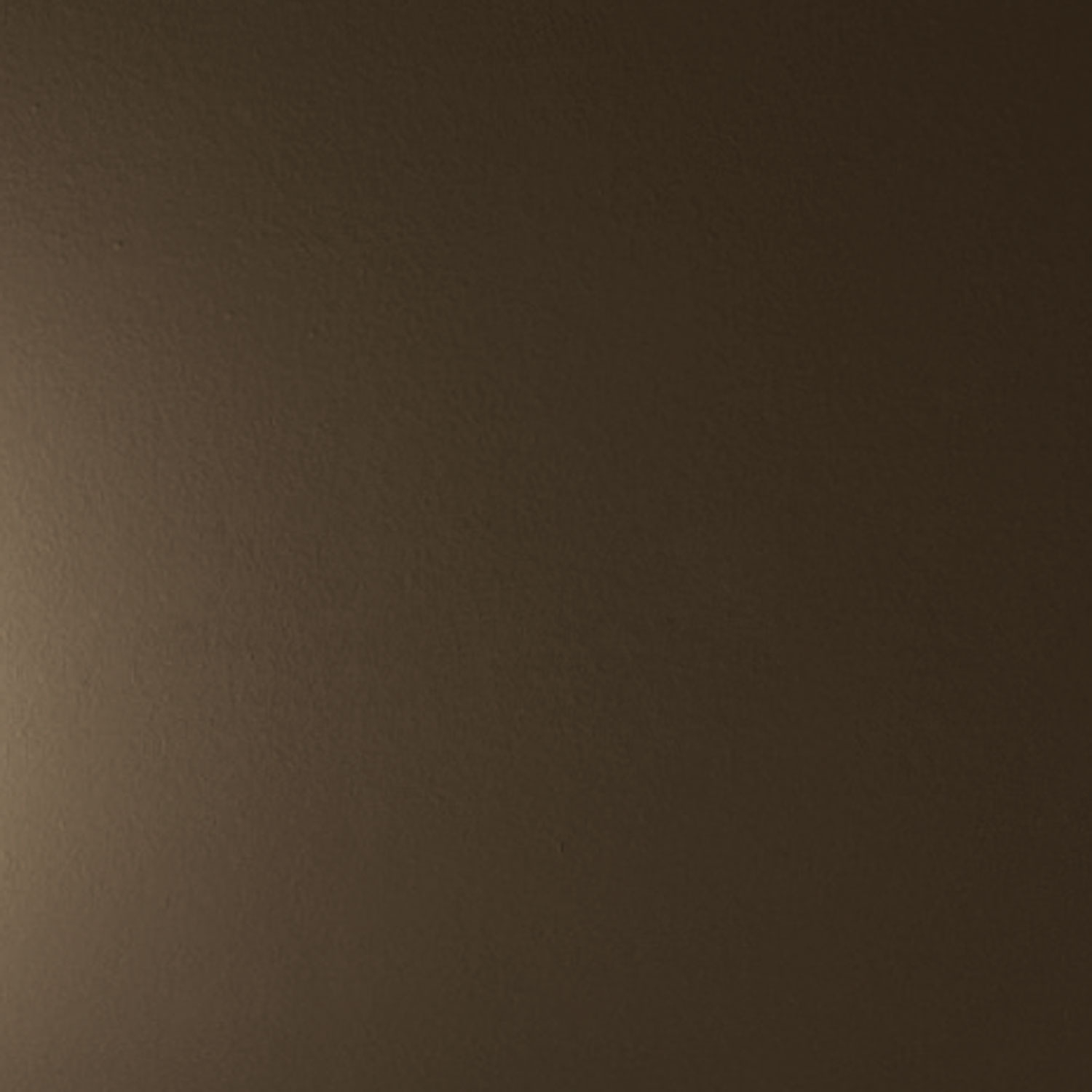 Espejo grabado_ V11 Bronzo