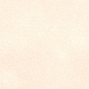 Cat. B_ Sahara Econabuk_ N24