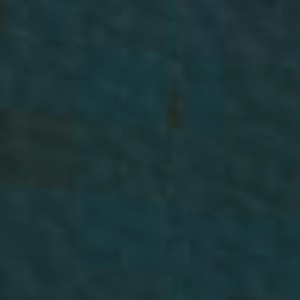 Leder_ Pieno Fiore_ P66