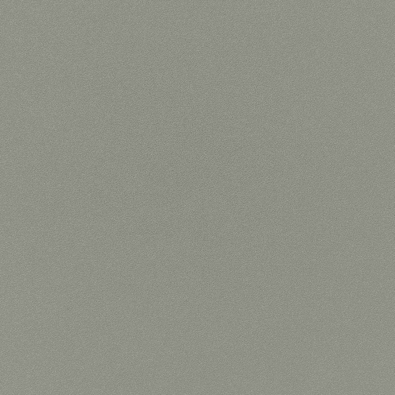 Gris Pantone 415C