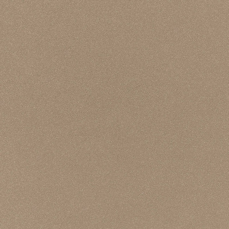 Beige RAL 1019