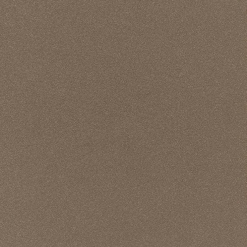 Mat_ Gris beige RAL 7006